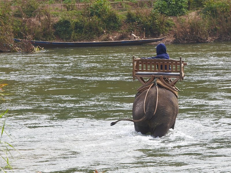 Nam Khan, Elephant